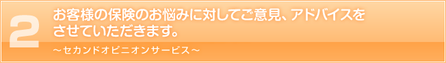 ２.　中立的な立場から、お客様の保険のお悩みに対してご意見、アドバイスをさせて頂きます。　～セカンドオピニオンサービス～